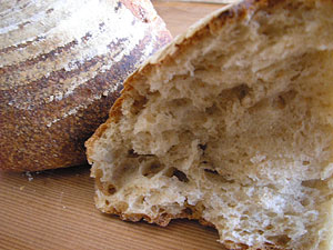 �J���p�[�j���@�v���[��