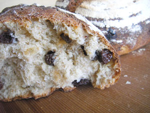 �J���p�[�j���@���U��