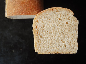 �S�����u���b�h