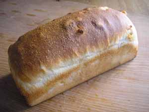 �ɗ\���@�u���b�h