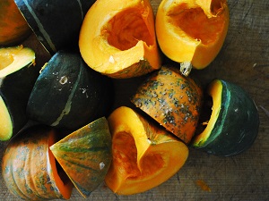 ���ڂ���