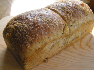 �g���@�u���b�h