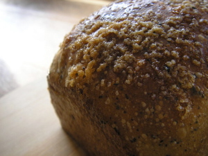 �g���@�u���b�h